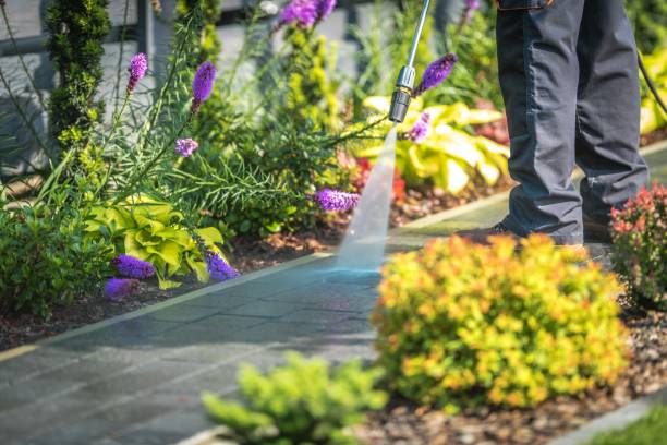 Professional Pressure Washing Services in Portales, NM